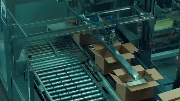 Kartonnen verpakkingsmachine, op transportband. — Stockvideo
