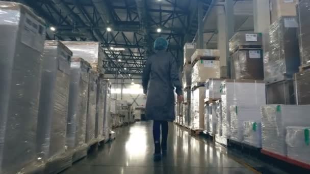 Shot van vrouwelijke industriële werknemer wandelen door productiefabriek. Clip. Achteraanzicht van vrouwelijke magazijnmedewerker die uniform draagt. — Stockvideo