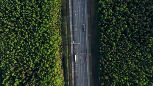 AERIAL. Trafikutbyte. Ovanifrån av vägen, staden och skogen. Sommarvideo från drönaren. — Stockvideo