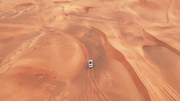 Légi. Felülnézet négykerék-hajtású autóval a sivatagban. — Stock videók