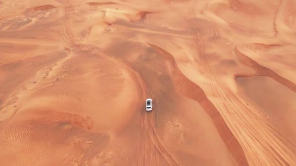 AÉRIAL. Vue de dessus de la voiture à quatre roues motrices dans le désert . — Video