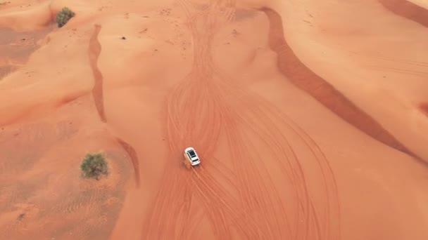 AERIAL. Top view of Four-wheel-drive car in the desert. — Stock Video