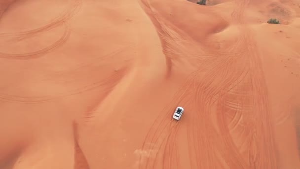 AERIAL. Vista superior do carro de tração nas quatro rodas no deserto . — Vídeo de Stock