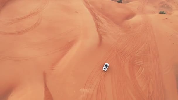 AERIAL. Top view of Four-wheel-drive car in the desert. — Stock Video