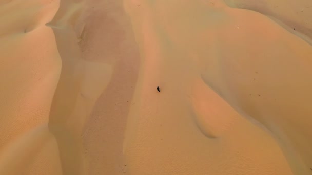 Повітряний вид з дрона, який летить поруч з жінкою в традиційному одязі Абая Об'єднаних Арабських Еміратів, що йде по дюнах в пустелі Пустельний квартал. Абу-Дабі, ОАЕ. — стокове відео