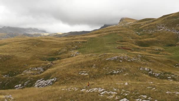 Vista aérea de un joven y solitario rastreador turístico caminando por las colinas — Vídeos de Stock