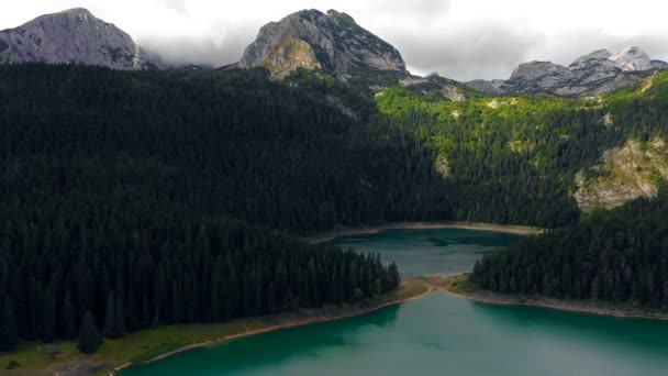 Вид с воздуха завораживающий вид на горное озеро с лесом — стоковое видео