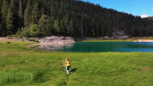 Вид з повітря молода жінка турист відправляється на гірське озеро — стокове відео
