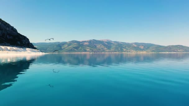 Kuşlar dağların arka planında ve en saf deniz suyunda uçuyor.. — Stok video