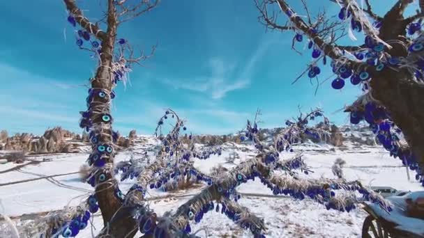 Дивовижний зимовий пейзаж з традиційним блакитним сувеніром . — стокове відео
