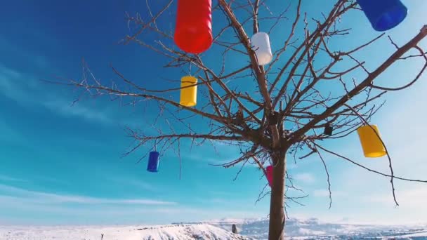 Камера літає навколо дерева з кольоровими ліхтариками — стокове відео