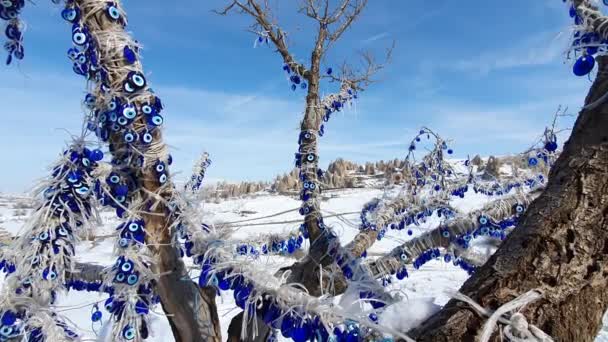 Дивовижний зимовий пейзаж з традиційним блакитним сувеніром . — стокове відео