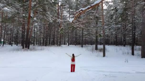 Het meisje is overweldigd door gevoelens van vreugde van de schoonheid van het winterwoud. — Stockvideo