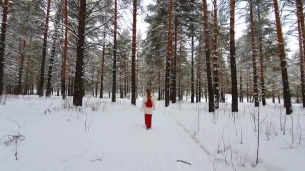 Câmera seguinte jovem caminhando na floresta de inverno — Vídeo de Stock