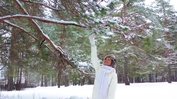 Uma linda garota caminha pela floresta de inverno e sacude a neve dos galhos das árvores. Férias de Natal. — Vídeo de Stock