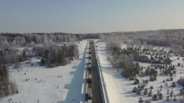 AEREALE. Vista dall'alto della colonna di camion che guida sulla strada innevata in inverno. — Video Stock