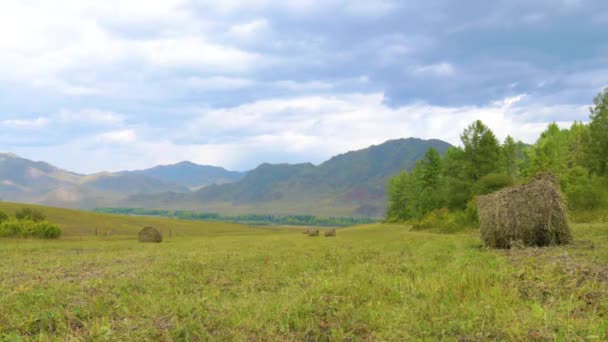 Venkovská krajinná louka s balíky sena po sklizni. Časová prodleva, Časová prodleva, Časová prodleva — Stock video