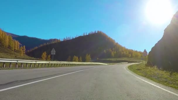 Sonbaharda gün boyunca sakin bir kırsal karayolu aşağı sürüş. Chuysky tract, Sibirya, Rusya Federasyonu. — Stok video