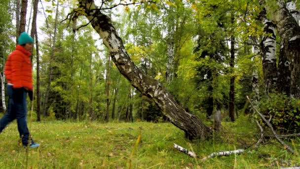Туристка гуляет по лесу и мистически исчезает за деревом . — стоковое видео