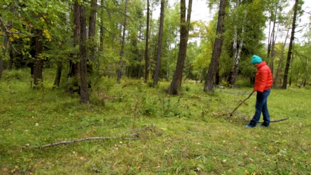 En kvinna söker svamp i skogen. — Stockvideo