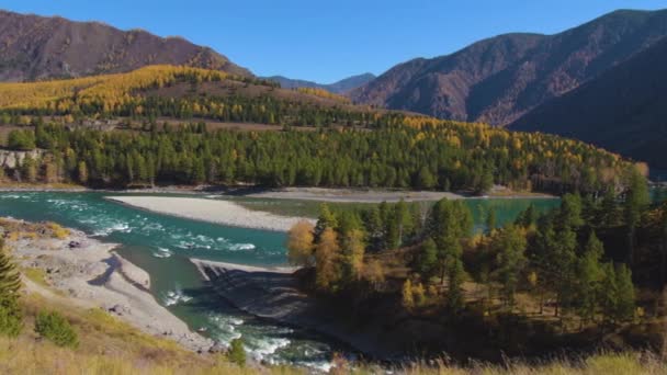 Rio Katun e rio Ursul nas montanhas Altai. Sibéria, Rússia — Vídeo de Stock