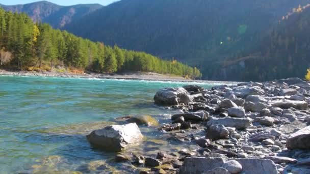 River Katun, Altai, Sibéria, Rússia — Vídeo de Stock
