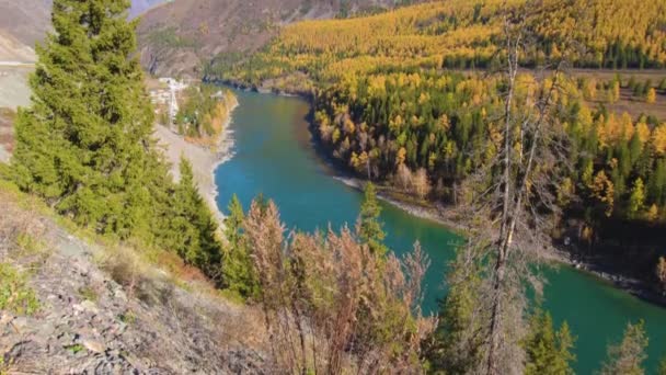Río Turquesa Katun en las montañas Altai, República de Altai, Rusia — Vídeo de stock