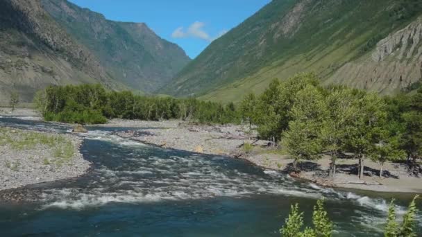 Río Chulyshman. Montañas Altai — Vídeo de stock