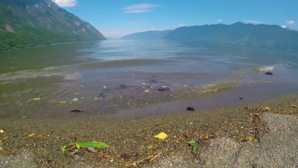 Ondas no lago Teletskoe — Vídeo de Stock