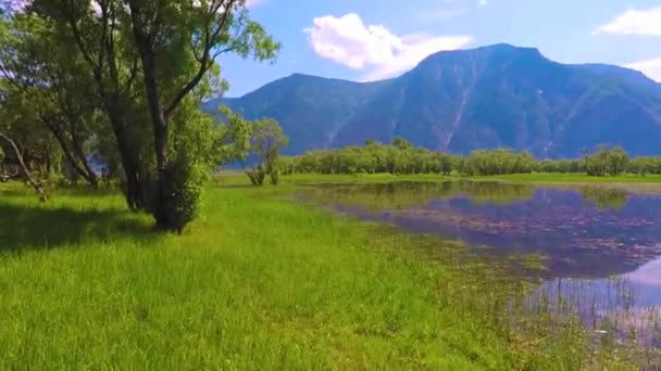 Озеро Телеське. Алтай гори Сибір Росія — стокове відео