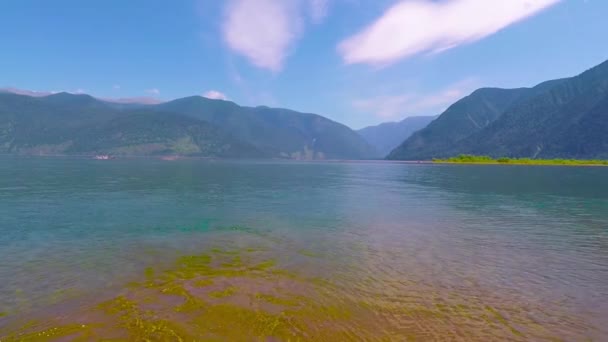 Lago Teletskoe. Altai montanhas — Vídeo de Stock