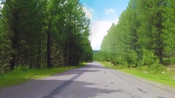 Onverharde weg in Ulagan district, Altai bergen, Siberië, Rusland — Stockvideo