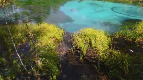 Blue geyser lake in Altay mountains. Siberia. Russia. — Stock Video
