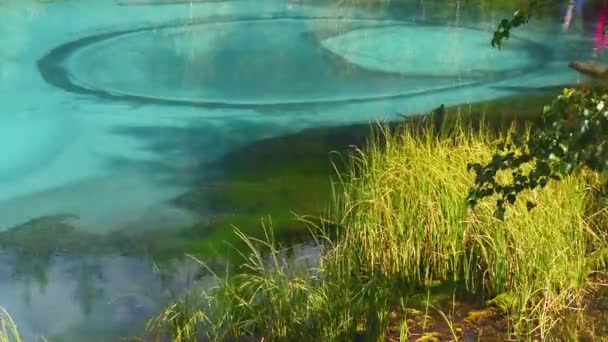 Lago géiser azul en las montañas Altay. Siberia. Rusia. — Vídeos de Stock