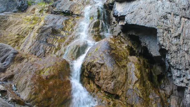 Ширлакский водопад в горах Алтая — стоковое видео