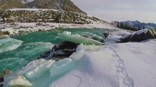 Río Altai Katun hielo de invierno — Vídeo de stock
