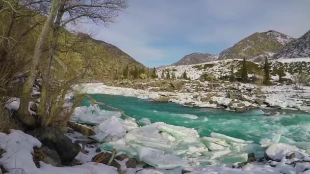 Altay Nehri Katun kış buz — Stok video