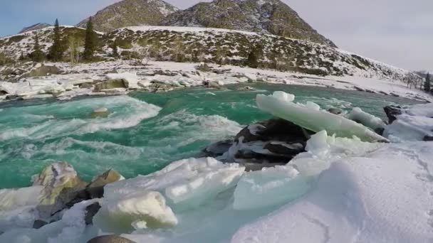 Ghiaccio invernale del fiume Altai Katun — Video Stock