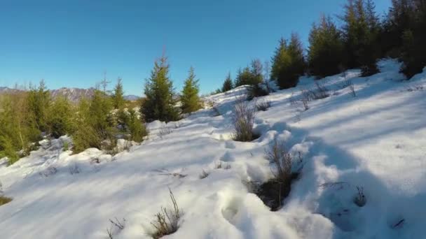 En las laderas de las montañas de invierno, sendero en las montañas de invierno, paisaje de invierno, Huellas en la nieve — Vídeos de Stock