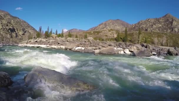 Katun Nehri 'nde yüksek bahar suları — Stok video