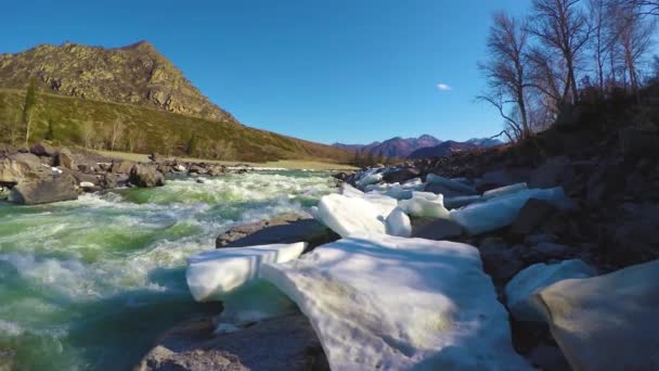 Висока вода на річці Катун. — стокове відео