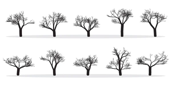 Nackte Bäume Silhouetten Gesetzt Hand Gezeichnet Isoliert Herbst Frühling Sturz — Stockvektor