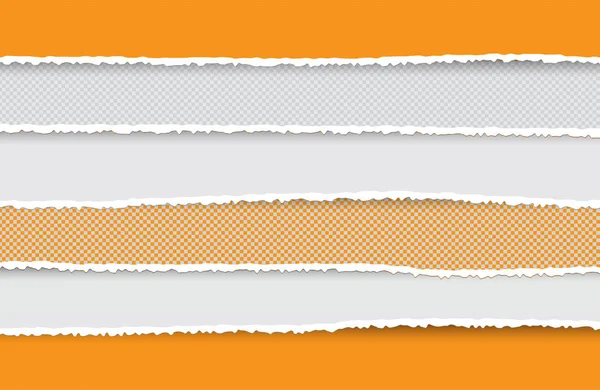 Набор Разорванных Порванных Бумажных Полосок Текстура Бумаги Поврежденным Краем Изолирована — стоковый вектор