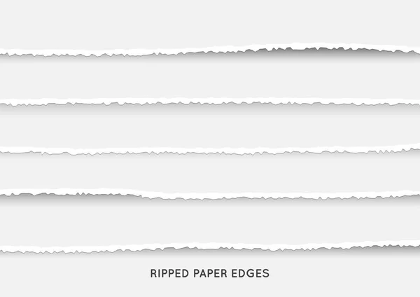 Conjunto Rayas Papel Rasgado Rasgado Textura Papel Con Borde Dañado — Vector de stock