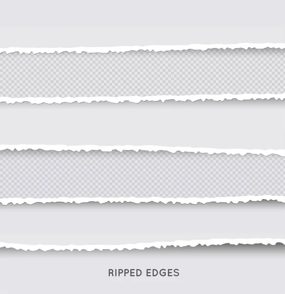 Set Ripped Torn Paper Stripes Texture Paper Damaged Edge Isolated — Stock Vector