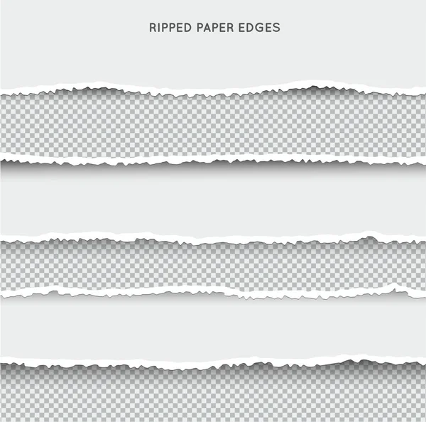 Set Ripped Torn Paper Stripes Texture Paper Damaged Edge Isolated — Stock Vector