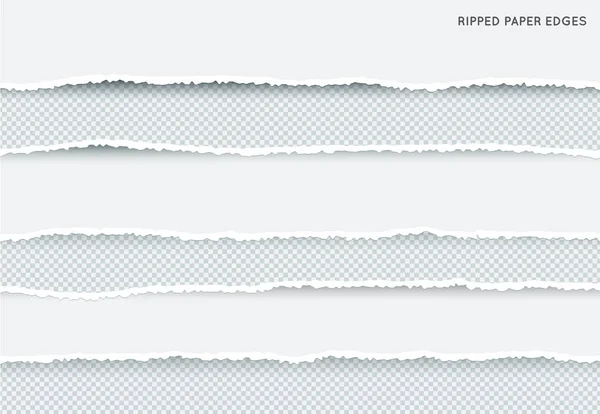 Conjunto Listras Papel Rasgadas Rasgadas Textura Papel Com Borda Danificada —  Vetores de Stock