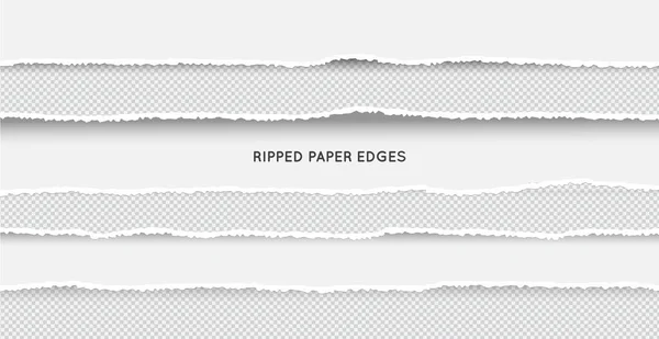 Set Ripped Torn Paper Stripes Texture Paper Damaged Edge Isolated — Stock Vector