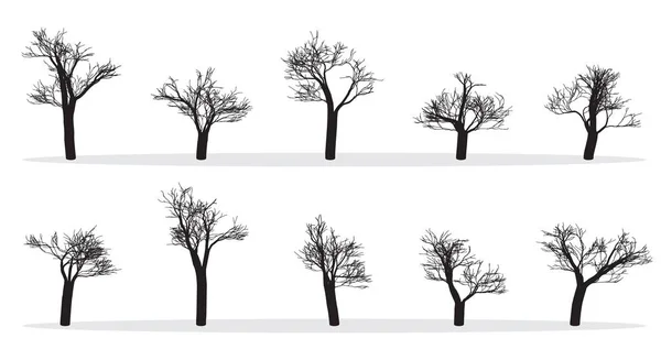 Nackte Bäume Silhouetten Gesetzt Hand Gezeichnet Isoliert Herbst Frühling Sturz — Stockvektor