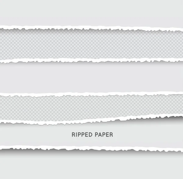 Hasogatott Szakadt Papír Csíkok Halmaza Textúra Papír Sérült Edge Elszigetelt — Stock Vector
